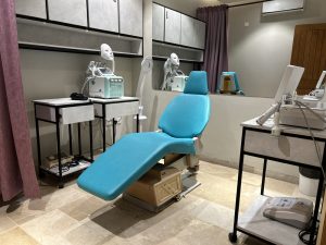 Adjustable Examination Bed